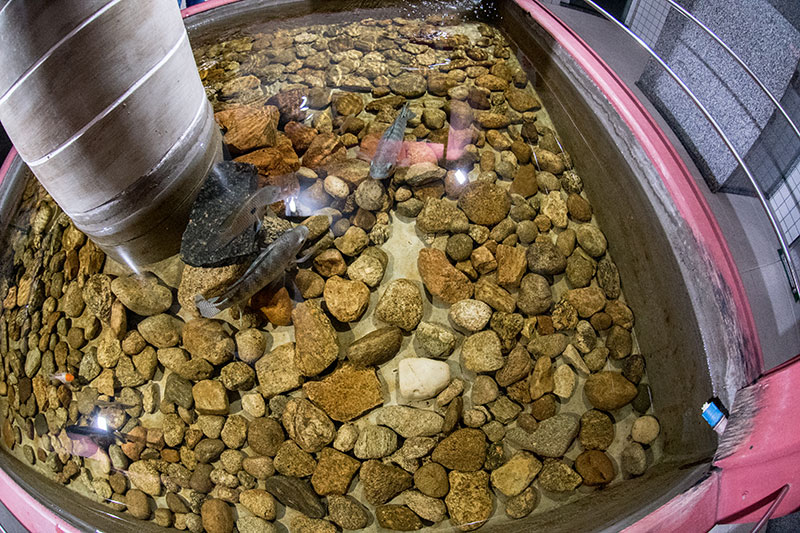 37a36ca1-38cc-4cef-92b6-711dd911861c