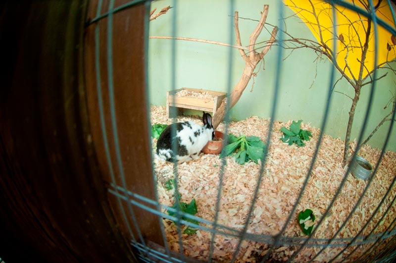 605ac1d9-bd3b-45d6-ab65-4f10f948843c