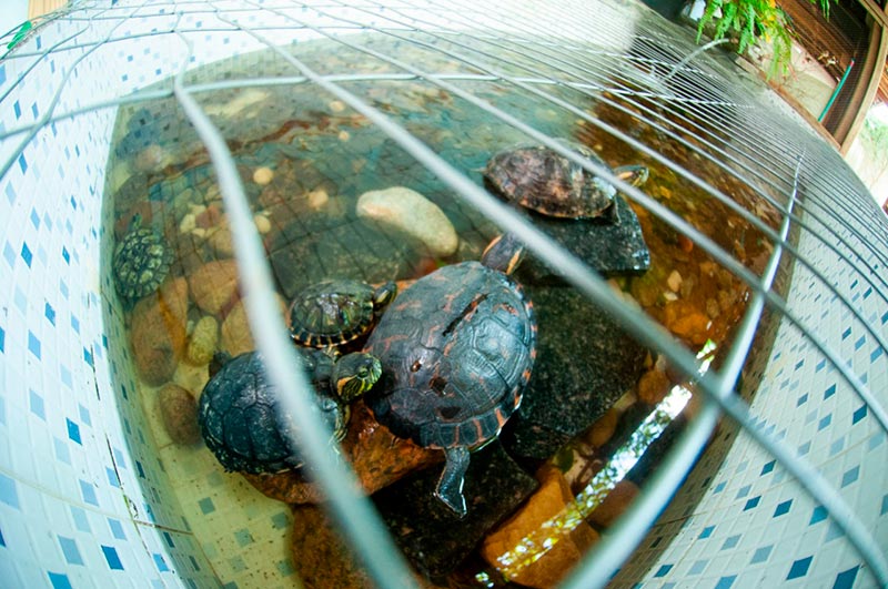 6bde2310-0c5f-4655-a36e-3d3d7f25e49d