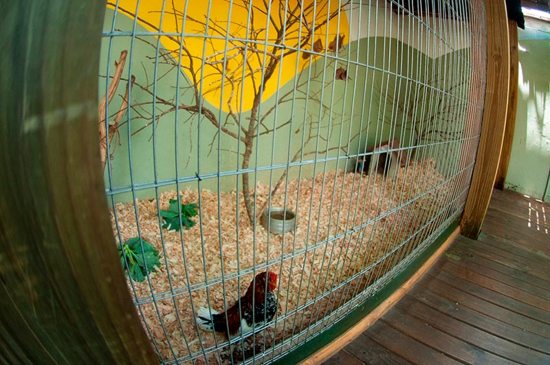 6d067078-1fee-486b-ad14-a94555b5ee91