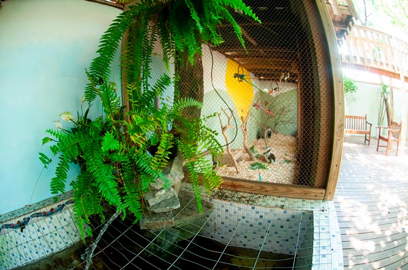 9667ec66-fec0-45cc-87dc-ad5db8d8e9e6